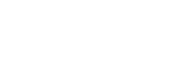 Livraison fleurs Lyon 1